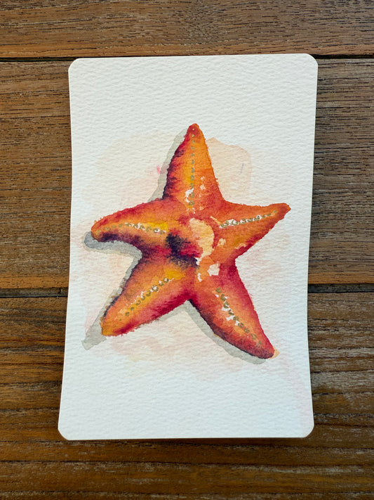 Blush Tide Starfish – A6 Realistic Coastal Mini