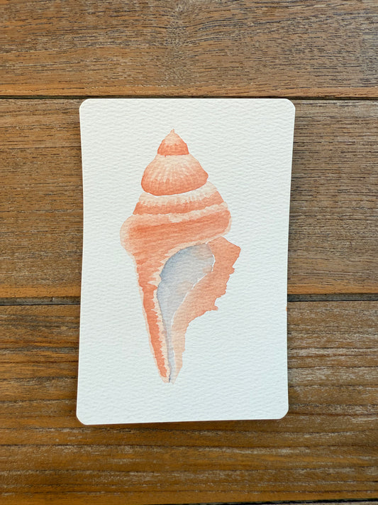 Ocean Spiral Shell – Coral A6 Watercolour