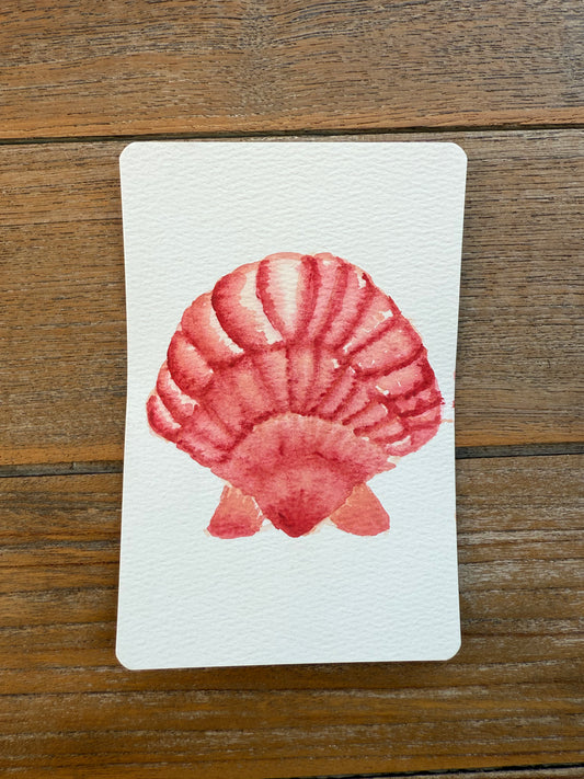 Blush Beach Shell – A6 Coastal Mini Painting